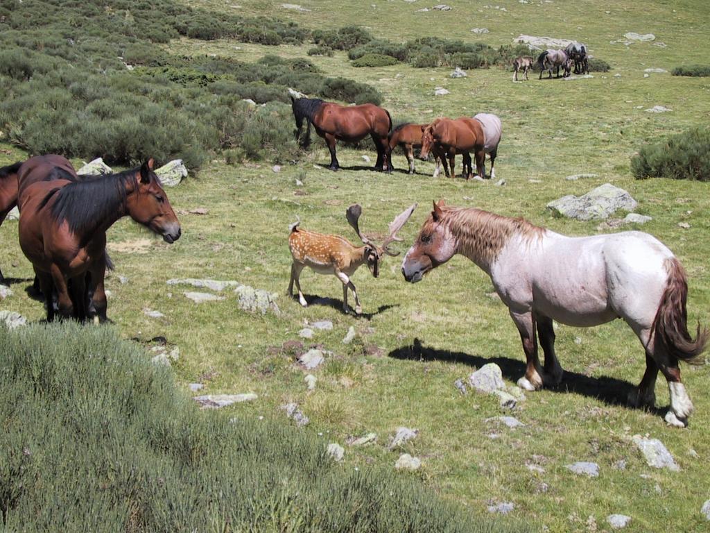 La Coberta-Lo Paller Del Coc Rialp Zewnętrze zdjęcie